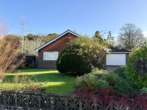 Photo 10- click for photo gallery